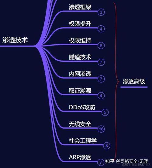 安全小白系統自學計算機科學與黑客技術的路徑指南